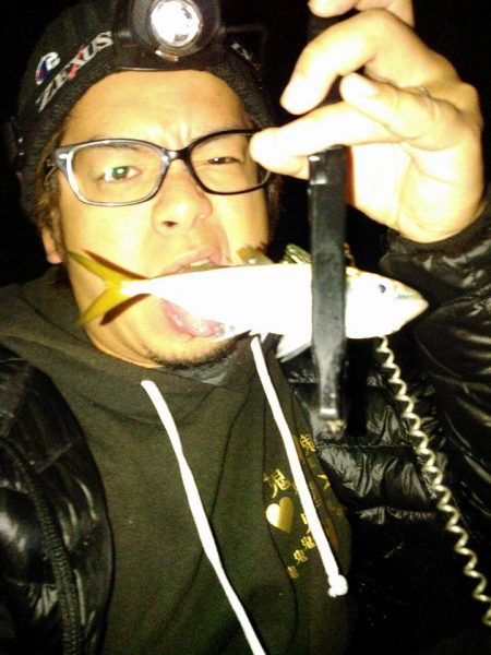 アジでイカ釣る